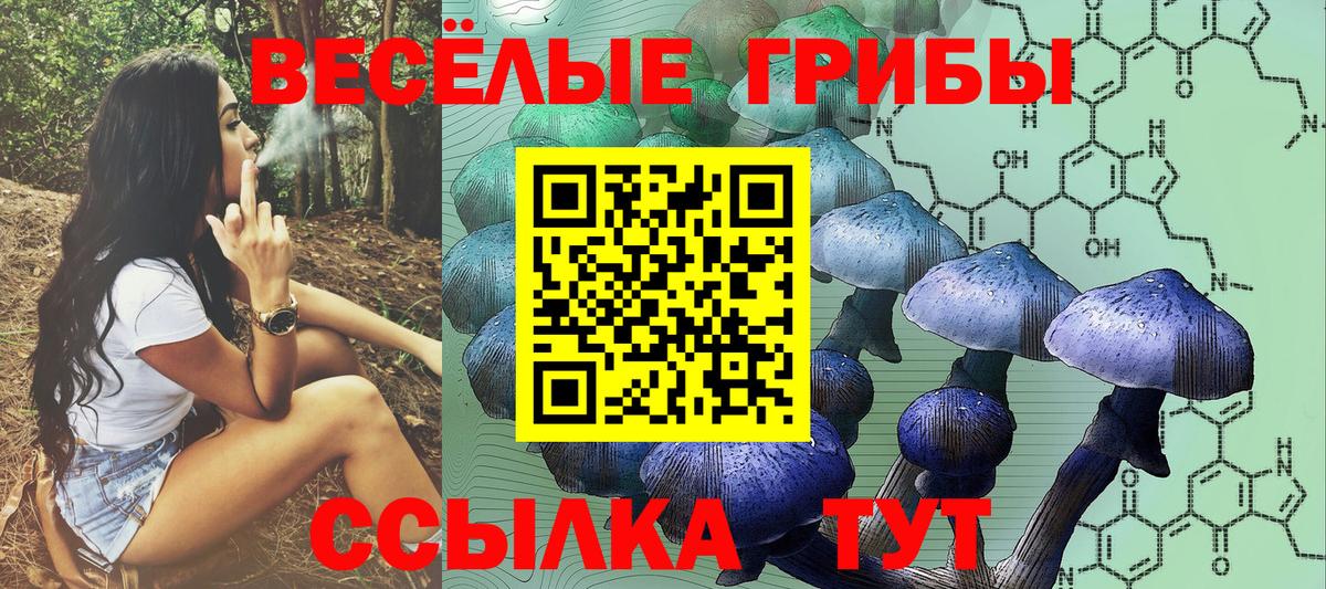 Галлюциногенные грибы Psilocybine cubensis Мурманск
